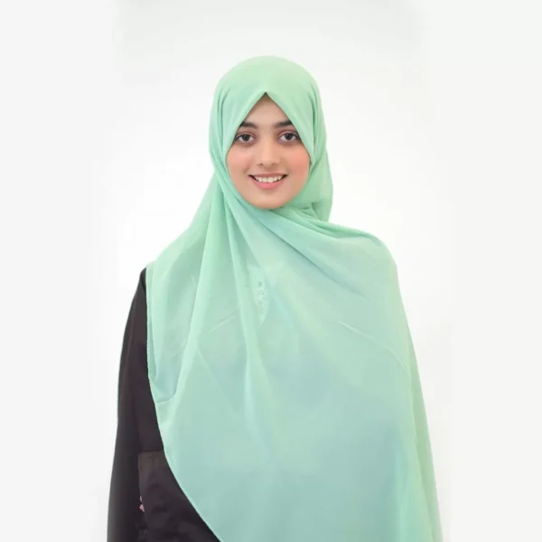 Pista Green Chiffon Shella