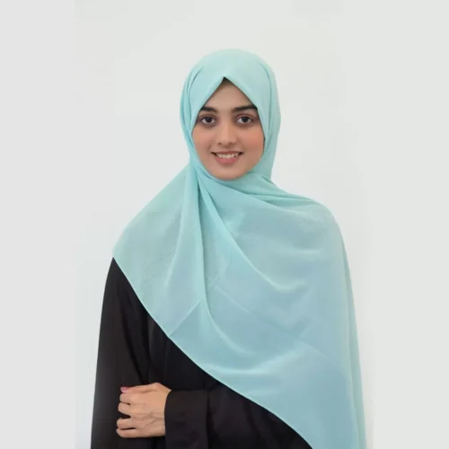 Sea Green Chiffon Shella